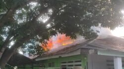 Korsleting Listrik Diduga Jadi Penyebab Warung Makan Di Kendari Terbakar