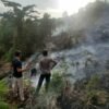 Kebun Milik Warga di Kolaka Utara Terbakar