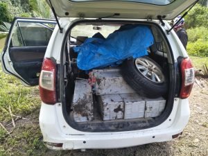 Barang bukti yang disimpan di belakang mobil pelaku. Foto: Polres Butur.