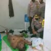 Berulang Kali Dihubungi Tak Menjawab, Ternyata Pria Ini Sudah Jadi Mayat di Indekosnya
