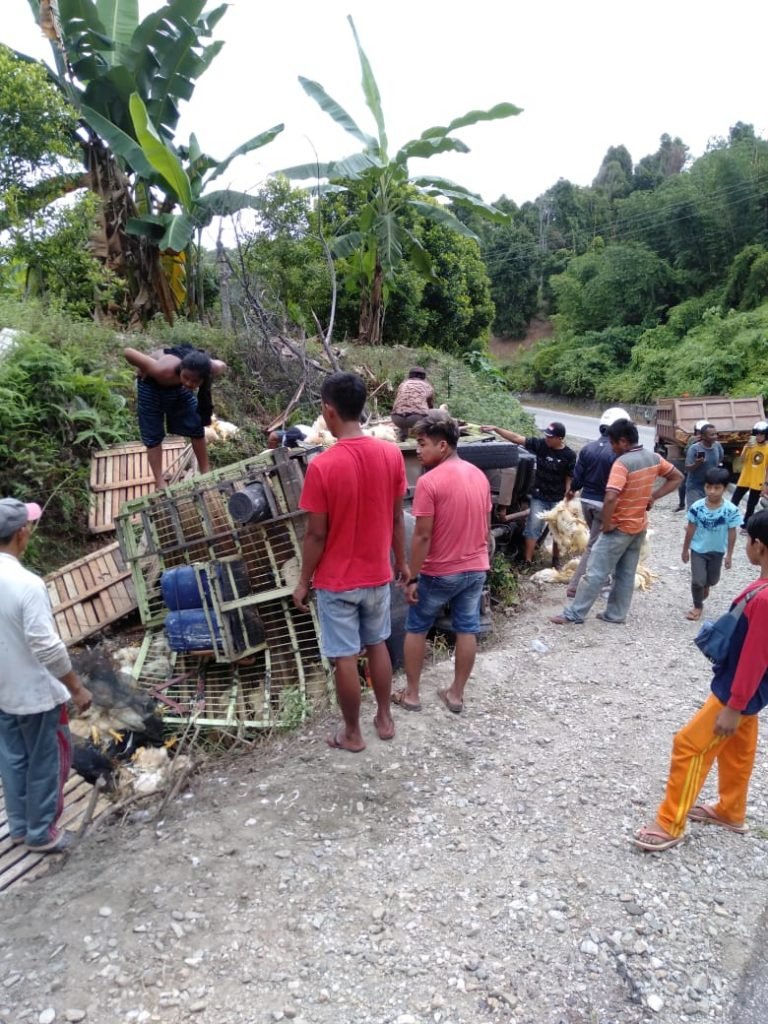 Kondisi truk bermuatan ayam potong usai kecelakaan tunggal di Desa Waise.