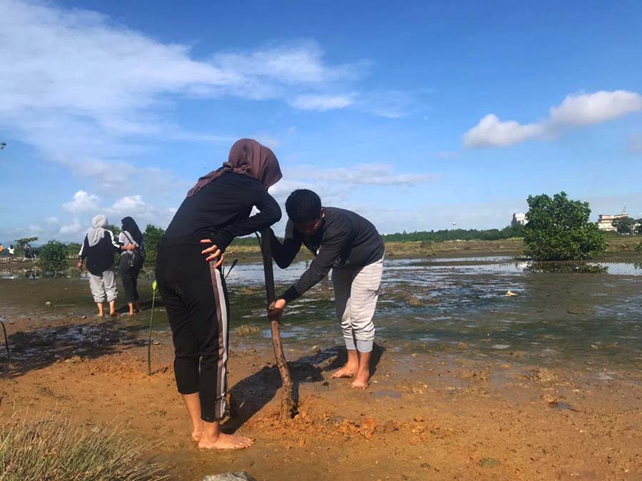 Peduli Terhadap Laut, Mahasiswa Ilmu Komunikasi UHO Tanam Puluhan Mangrove di Kendari Beach