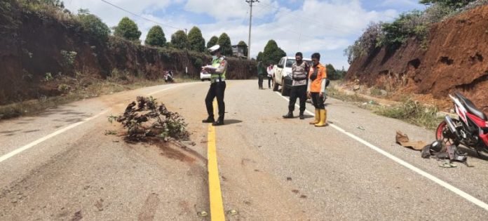 Lokasi kejadian kecelakaan di Jalan Trans-Sulawesi. Foto: Istimewa.