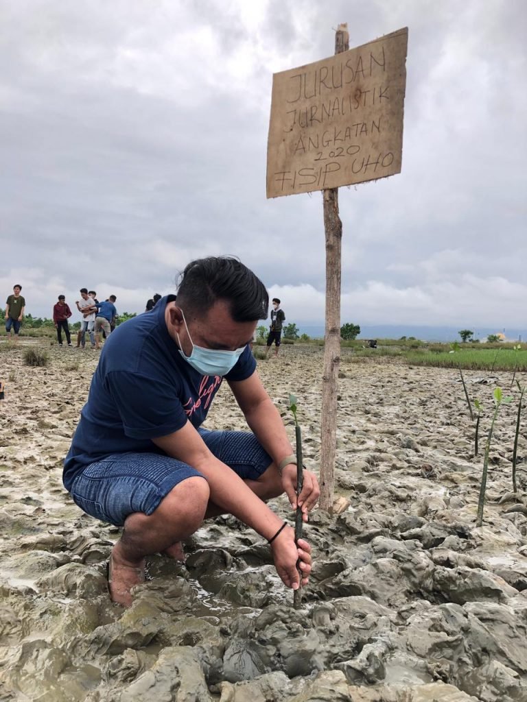 La Ode Herman Halika, Dosen Pengampuh Mata Kuliah Wawasan Kemaritiman di FISIP UHO sedang menanam bakau. Foto: Kendariinfo.