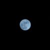 Melihat Fenomena Bulan Biru yang Muncul di Langit Kendari