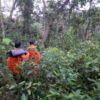 Nenek 60 Tahun Hilang Saat Cari Kayu di Hutan Konawe