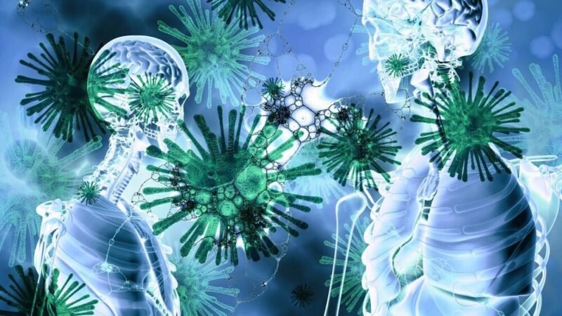 Positif Covid-19 di Kolaka Naik 25 Kasus, Sembuh 12 Orang Positif Covid-19 di Kolaka Naik 25 Kasus, Sembuh 12 Orang