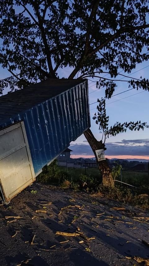 Kontainer truk yang tersangkut pohon di depan Kantor Camat Poasia. Foto: Istimewa. (27/9/2021).