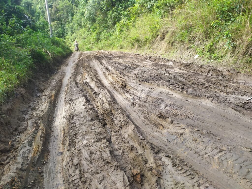Kondisi Jalan Lintas Provinsi di Kecamatan Asinua rusak parah. Foto: Wira Muhammad Rafli/Kendariinfo. (8/9/2021).