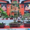 260 Pohon Bonsai Dipamerkan pada HUT Basarnas Kendari ke-22