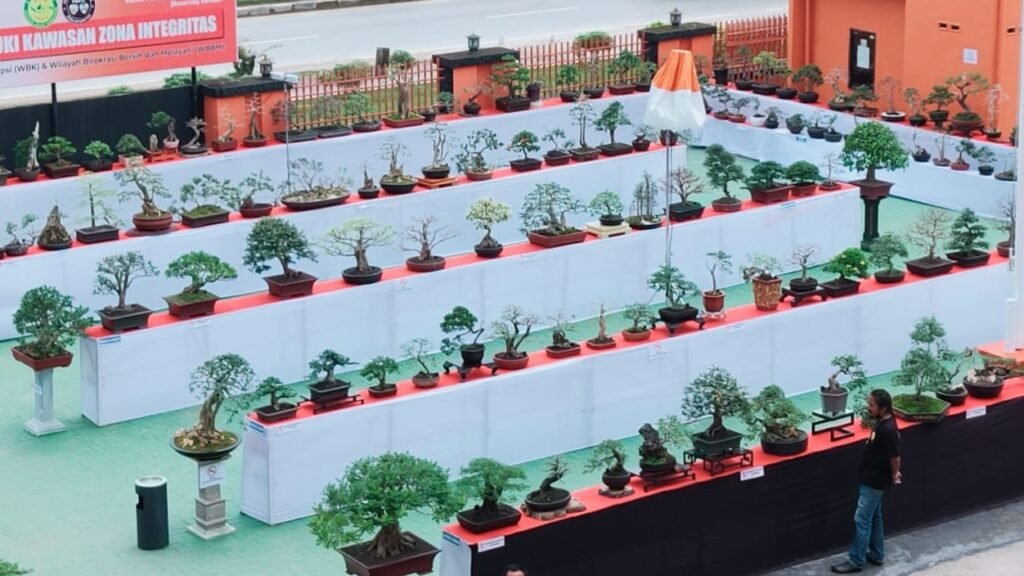 Ratusan pohon bonsai yang yang dipamerkan di pelataran Kantor Basarnas Kendari. 