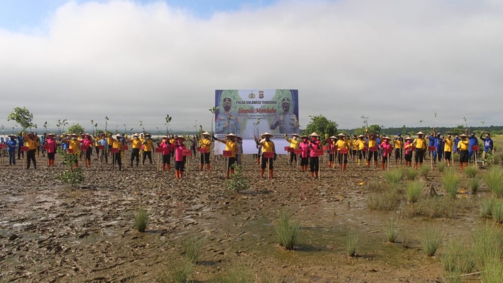 Penanaman 2.000 pohon mangrove oleh Polda Sultra di kawasan pesisir Jalan By-pass Kendari Beach.