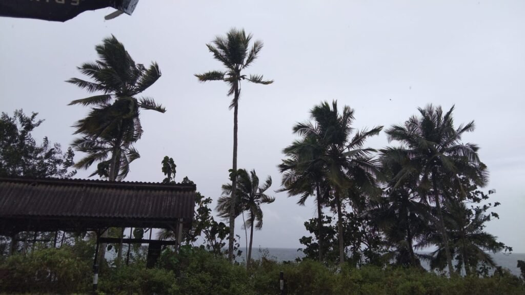 Ilustrasi angin kencang.