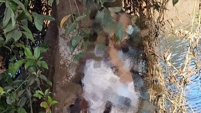 TKA Cina yang Tewas Gantung Diri di Konawe Karyawan PT AMP TKA Cina yang Tewas Gantung Diri di Konawe Karyawan PT AMP