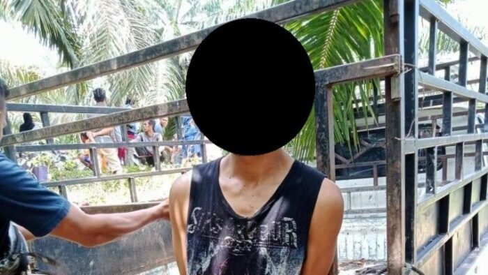 Pelaku MD, terduga pencurian sapi di Desa Tinggo, Kecamatan Tanggetada, Kabupaten Kolaka, Sulawesi Tenggara (Sultra).