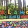 Foto: Wisata Puncak Alamo Koltim Rusak Akibat Cuaca Buruk