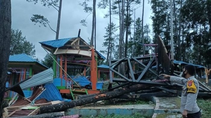 Pohon pinus tumbang menimpa fasilitas Puncak Alamo, Kolaka Timur (Koltim).