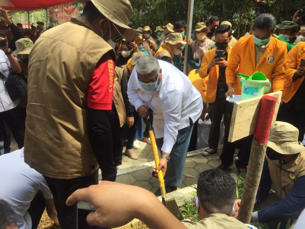 Gubernur Sultra, Ali Mazi saat melakukan penanaman pohon terancam punah di Kebun Raya UHO Kendari. Foto: Yusrin Ramadhan/Kendariinfo. (22/12/2021).