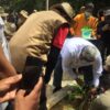Ali Mazi Ikut Tanam 450 Pohon Terancam Punah di Kebun Raya UHO Kendari