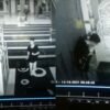 Tertangkap CCTV! Pemuda Maling Kotak Amal di Masjid Quba Anduonohu Kendari