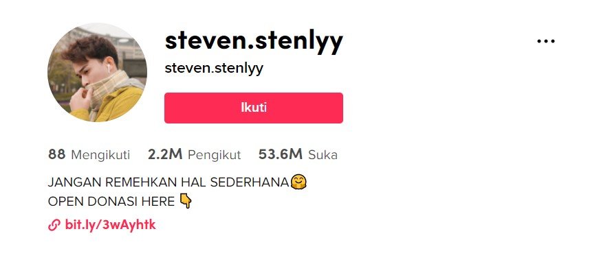 Akun TikTok @steven.stenlyy. Foto: Tangkapan layar.