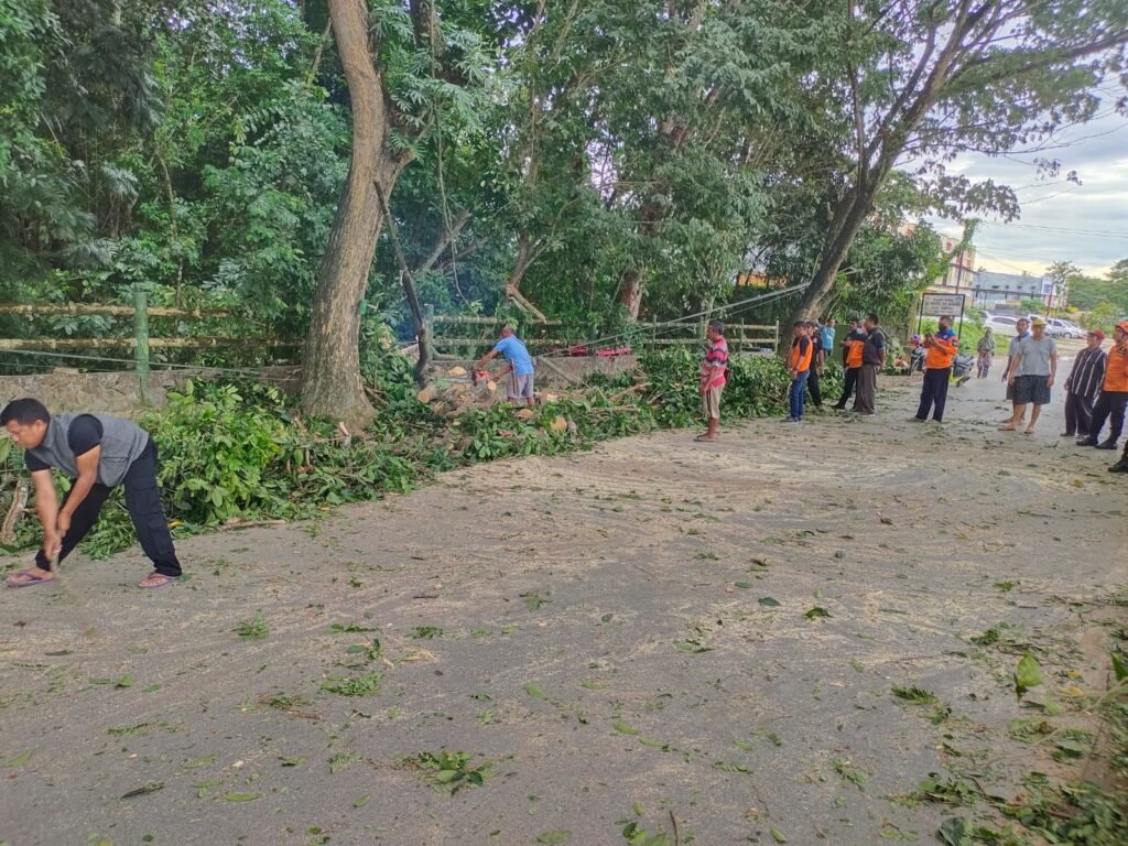 Proses pembersihan batang pohon yang tumbang di Baruga, Kota Kendari.