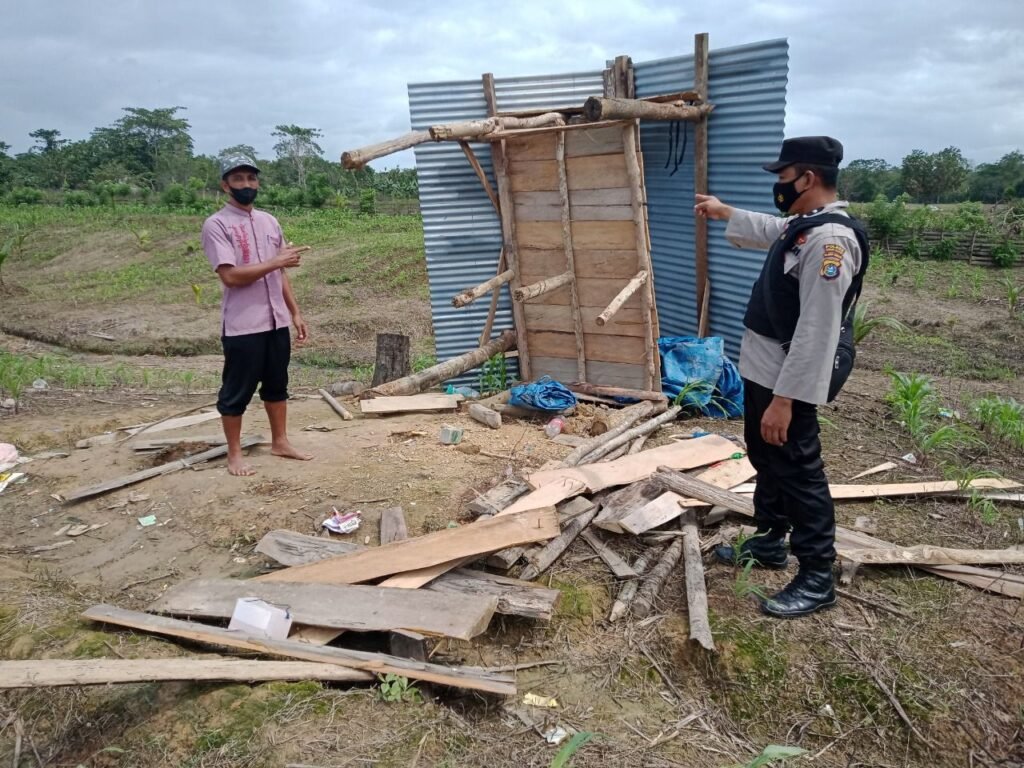 Lahan milik korban yang diduga dirusak oleh ketiga tersangka.