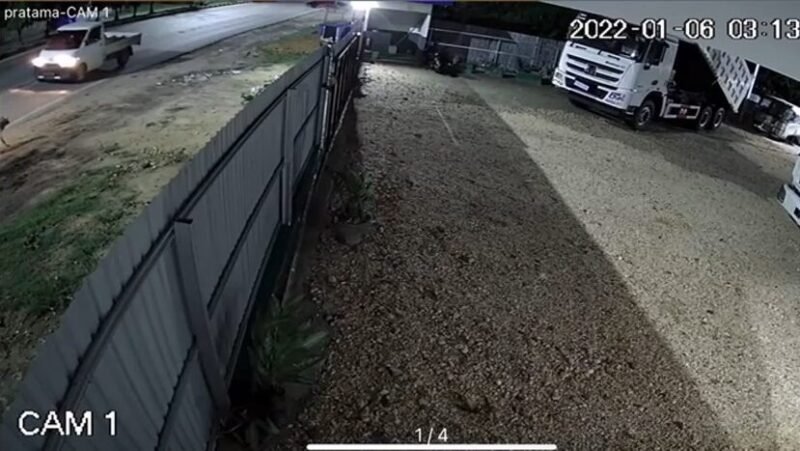 Mobil pikap putih yang tertangkap CCTV mencuri anjing Nineteen. Foto: Istimewa.