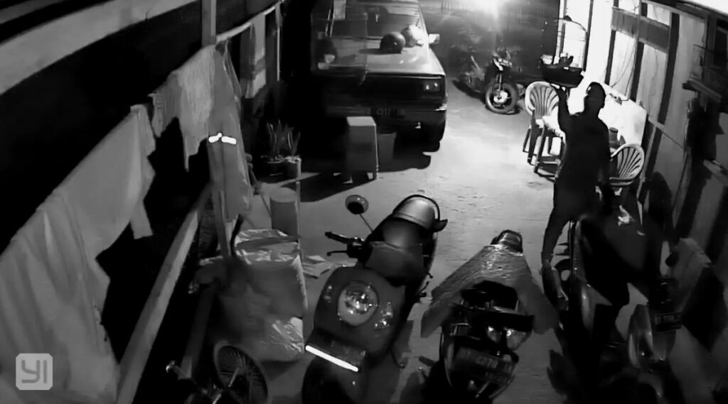 Pelaku pencurian burung di Kecamatan Unaaha, Kabupaten Konawe tertangkap CCTV. Foto: Tangkapan layar.