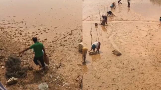 Fenomena Ikan Terdampar di Nambo, DLHK Kendari: Bukan karena Tambang