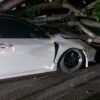 Breaking News! Mobil Honda Civic Tertimpa Pohon Tumbang di Kendari
