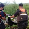 Kakek di Koltim yang Dibawa Buaya ke Tengah Sungai Akhirnya Ditemukan