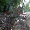 4 Daerah Penghasil Sampah Terbanyak di Kendari: Kadia, Kendari Barat, Kambu, dan Poasia