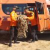Pria di Konut Hilang di Hutan Desa Tetewatu saat Pulang dari Kebun