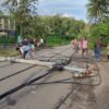 3 Tiang Listrik Tumbang Ditimpa Pohon di Baubau