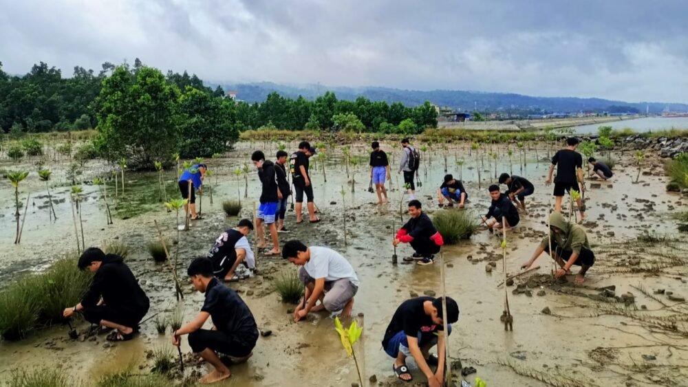 Cegah Abrasi Pantai, Mahasiswa FISIP UHO Tanam 250 Pohon Mangrove di Teluk Kendari