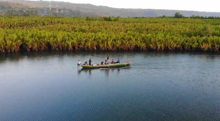 Wisatawan berkeliling menyaksikan deretan puluhan ribu pohon mangrove dan nipah yang berjajar rapi di Sungai Lakologou, Kelurahan Lakologou, Kecamatan Kokalukuna, Kota Baubau.