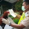 Cegah Flu Burung, BKP Kendari Periksa Ayam Bangkok asal Yogyakarta