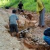 Warga Desa Likuwalanapo Keluhkan Akses Jalan dan Jembatan yang Tak Kunjung Diperbaiki