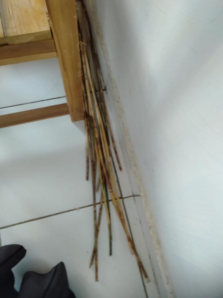 Rotan yang digunakan guru di Baubau saat aniaya siswanya.