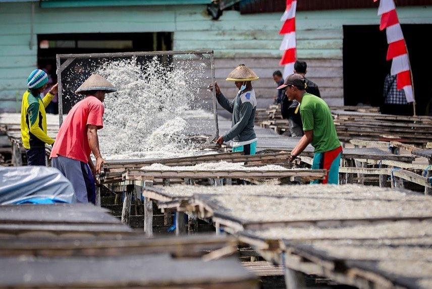 Pengolahan ikan teri di Desa Waburense, Kabupaten Buton Tengah.
