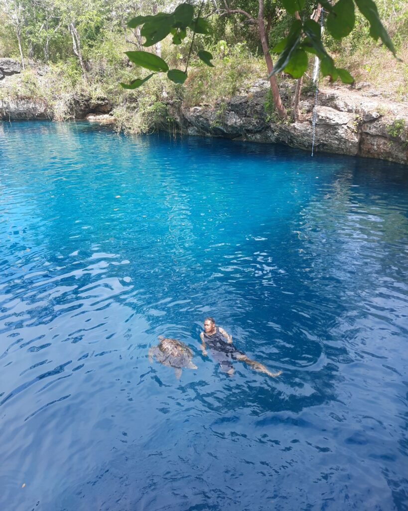 Syahramal saat berenang di Danau Moko dengan ditemani seekor penyu. Penyu tersebut cukup bersahabat dengan wisatawan dan tidak takut dengan kehadiran orang.