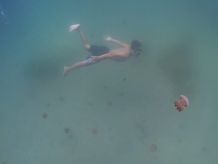 Seorang wisatawan lokal sedang berenang dan bermain dengan ubur-ubur di Danau Lohia, Kabupaten Muna.
