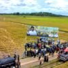 Panen Raya Padi di Koltim, Mentan Syahrul Yasin Limpo Puji Sinergitas Petani dan Pemprov Sultra