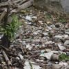 1 Ton Sampah Diangkut dari Teluk Kendari per Hari, DLHK Prediksi Lebih Banyak