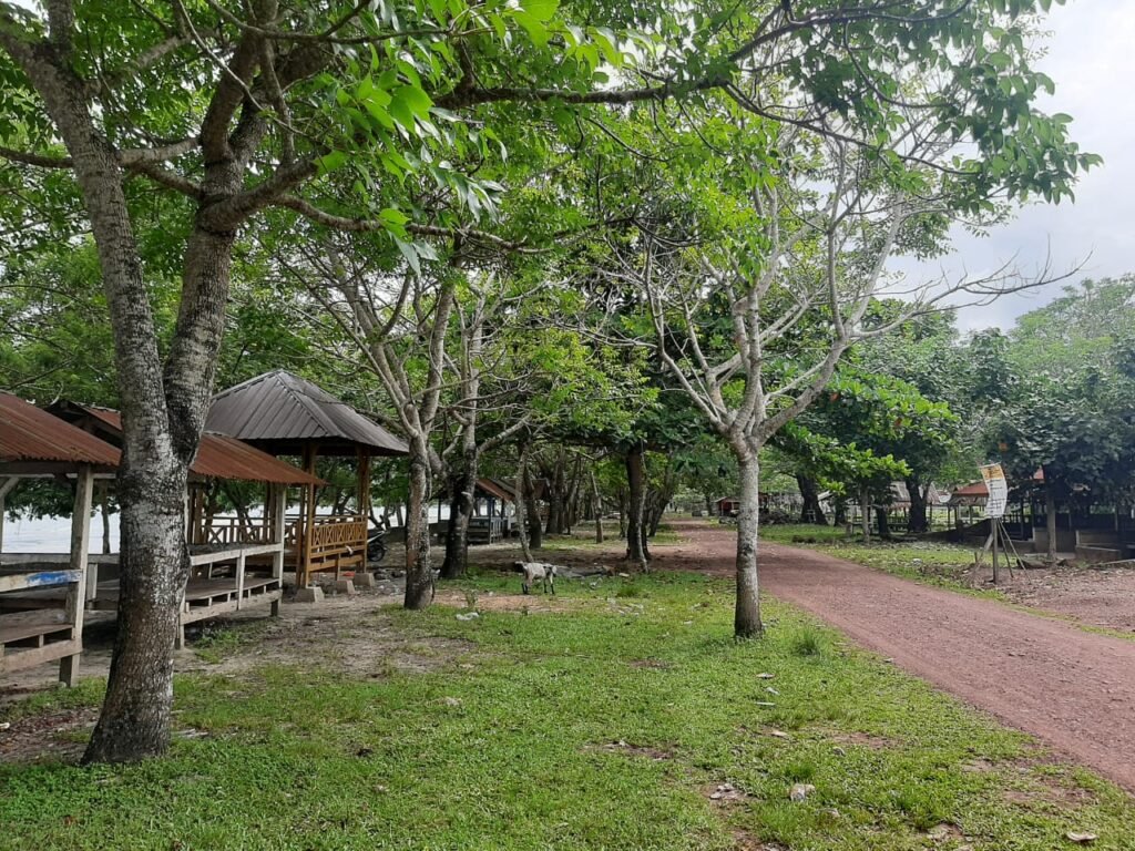 Tampak pasir pantai Batu Gong yang kurang terawat karena banyak kotoran dan rumput yang tidak diperhatikan dengan baik.