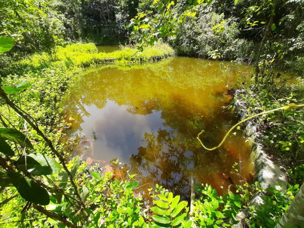 Permandian alam Cekdam Toli-Toli tampak sudah terbengkalai dan tak terurus lagi.