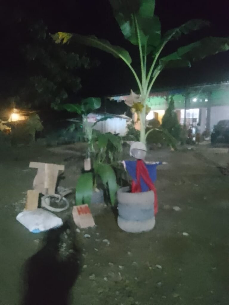 Pohon pisang yang ditanam oleh warga di tengah Jalan Poros Raterate - Ladongi di Kelurahan Atula, Kecamatan Ladongi, Kabupaten Kolaka Timur (Koltim), Sulawesi Tenggara (Sultra).