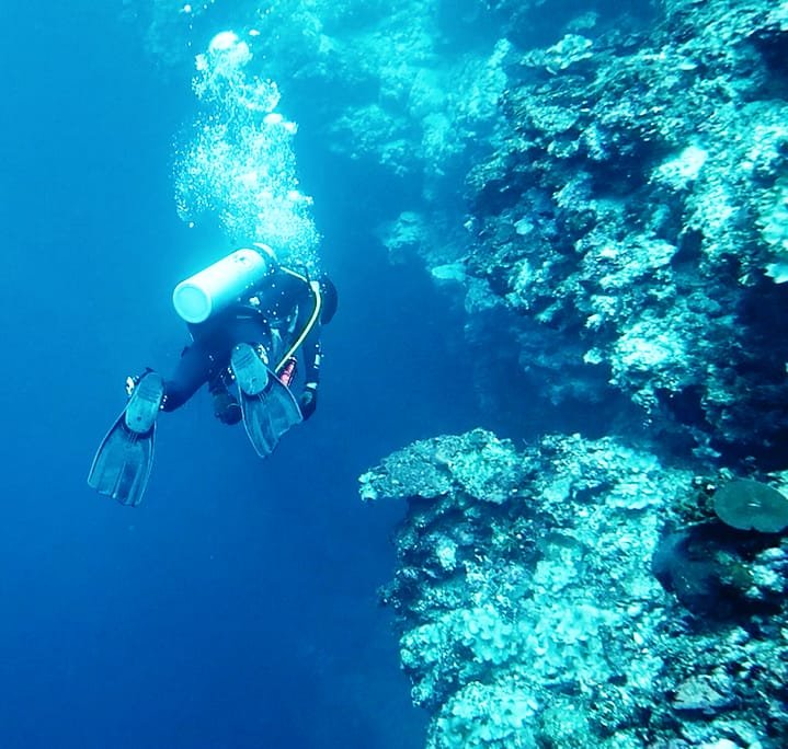 Seorang master dive tengah menyusuri tebing Labengki Blue Hole hingga di kedalaman 40 meter.