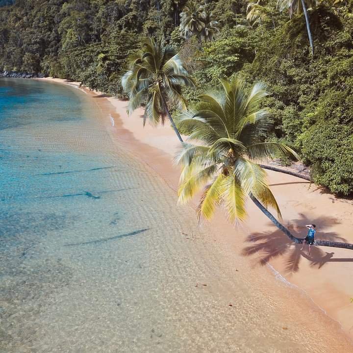 Dua pohon kelapa yang melengkung menjadi ikonik di Pantai Pasir Merah.